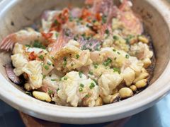 鲜活东星斑-金龙·打边炉(南京西路店)