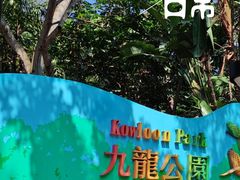 -九龙公园