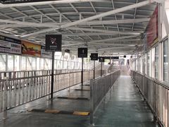 -武汉关码头(轮渡站)