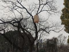 -七桥瓮公园