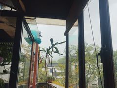 -野蔓果·山野菜(西湖景区·龙井茶田店)