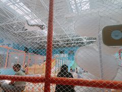 -秦皇岛新澳海底世界
