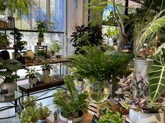 -弗劳尔花艺坊(龙涛店)