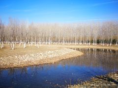 -东郊湿地公园