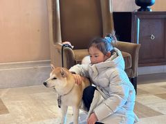 -长白山万达喜来登度假酒店