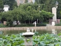 -团结湖公园