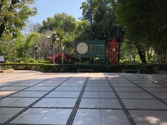 -晓港公园
