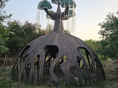 -西青郊野公园