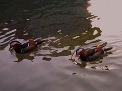 android_upload_pic-西安曲江寒窑遗址公园