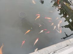 -梅园