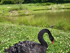 -本溪花溪沐温泉