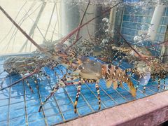 -壹品盛宴(企石店)