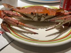 -开海·红岛海鲜虾水饺(石老人店)