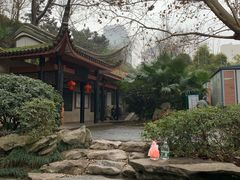-白沙古井