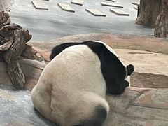 -青藏高原野生动物园