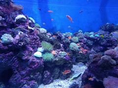 -成都浩海立方海洋公园