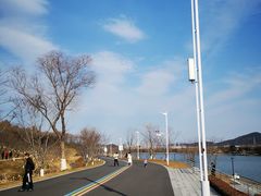 -羊山湖公园