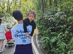 -都江堰中华大熊猫苑