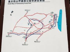 -铁山坪森林公园