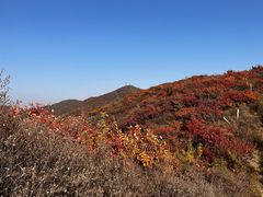 -北京西山国家森林公园