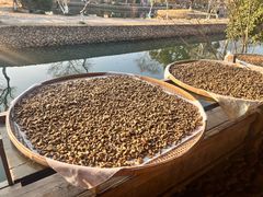 -楠溪江风景名胜区