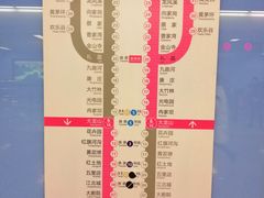 -大龙山(地铁站)