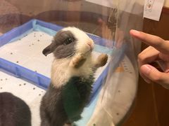 -大象厨房(重庆道店)