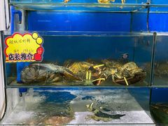 水产区-蚝专家(北滘店)
