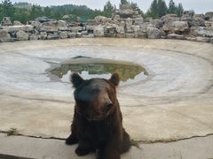 -鄂尔多斯野生动物园