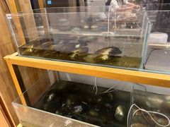 -十八字金银饰·拼豆·开蚌手工体验团建(君太百货店)