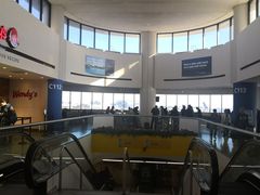 -纽瓦克自由国际机场