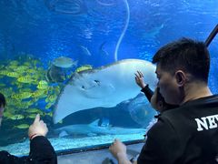 -太平洋海底世界