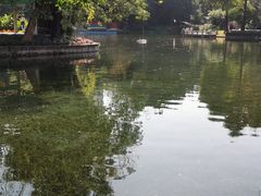 -晓港公园