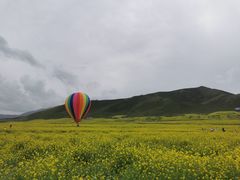 -扁都口生态休闲旅游区
