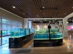 -顺兴鲜鱼庄·黑龙滩环球融创天堂洲际酒店