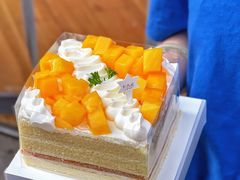 -卡吉诺动物奶油生日蛋糕(蓝堡湾店)