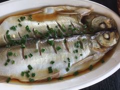 -蟹天蟹地农家菜·阳澄湖大闸蟹(浅水湾店)