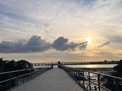 -宝安西湾红树林湿地公园