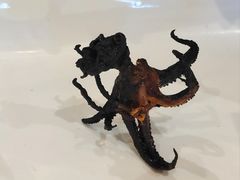 -三千里韩式炭火烤肉(南八马路店)