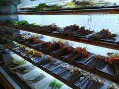 -镇江龙·火锅串串(武侯祠店)