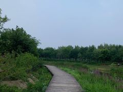 -东郊湿地公园