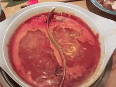 -青瓷火锅料理(西单大悦城店)