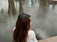 -东湖落雁景区