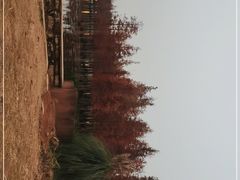 -白鹭湾湿地公园