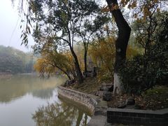 -西安市长乐公园