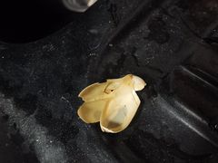 -立德动物医院·24小时中心(番禺区院区)