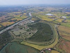 -池杉湖湿地公园