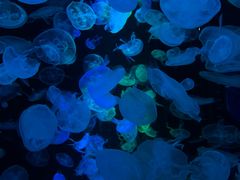 -多彩贵州城极地海洋世界