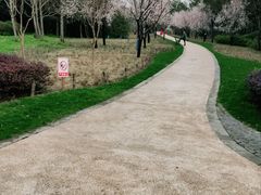 -昆山城市生态森林公园