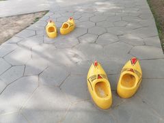 -长春公园(普阳街道)